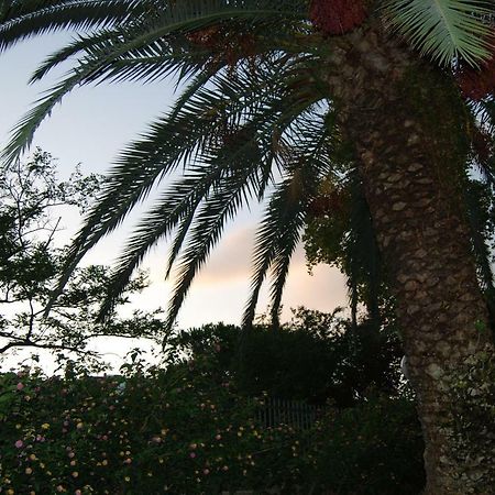 Roma Eur Bed & Breakfast Exterior foto